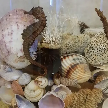 Agape Hébergement de vacances