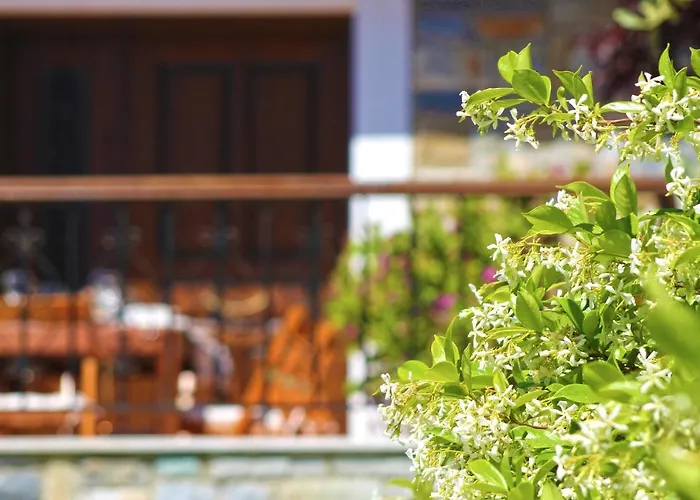 Case de vacanță Agape *