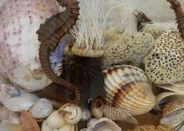 Agape Case de vacanță