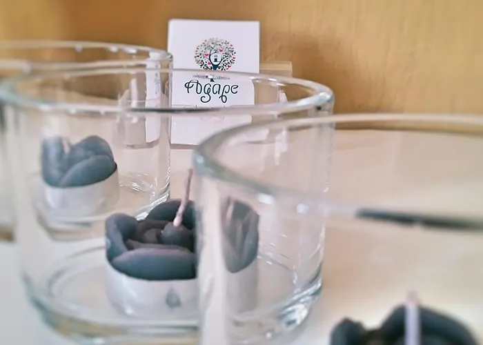 Case de vacanță Agape